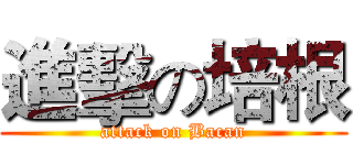 進擊の培根 (attack on Bacan)