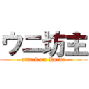 ウニ坊主 (attack on Koide)