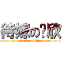 待嫁の亚欣 (attack on titan)