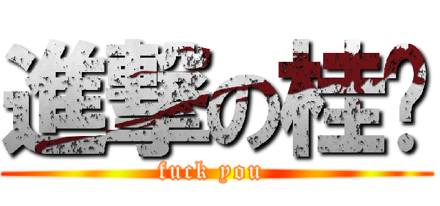 進撃の桂钦 (fuck you )