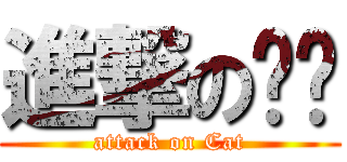 進撃の貓咪 (attack on Cat)