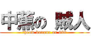 中蕉の 賊人 (throw banana on 689)