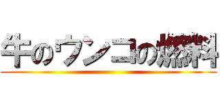 牛のウンコの燃料 ()