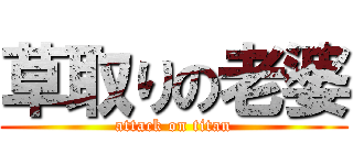 草取りの老婆 (attack on titan)