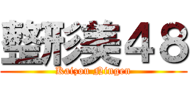 整形美４８ (Kaizou Ningen)