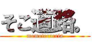 そこ道路。 (momoterarria)