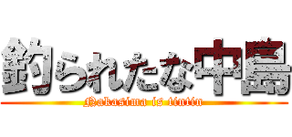 釣られたな中島 (Nakasima is tintin)