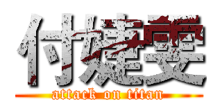 付婕雯 (attack on titan)