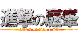 進撃の庭峯 (attack on ting fung)
