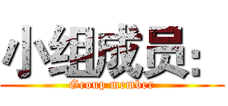 小组成员： (Group member)