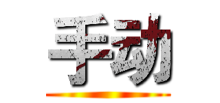 手动 ()