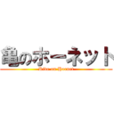 亀のホーネット (Ride on Hornet)