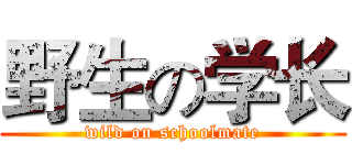 野生の学长 (wild on schoolmate)