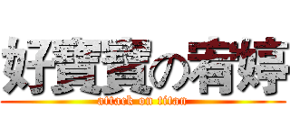 好寶寶の宥婷 (attack on titan)