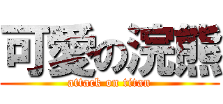 可愛の浣熊 (attack on titan)