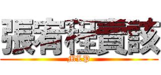 張宥程賣該 (MLP)