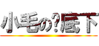 小毛の桌底下 ()