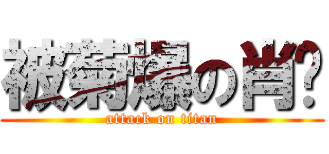 被菊爆の肖飞 (attack on titan)