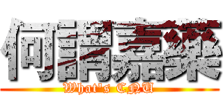 何謂嘉藥 (What's CNU)