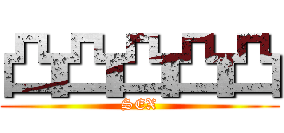 凸凸凸凸凸 (SEX)