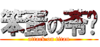 笨蛋の苓芩 (attack on titan)