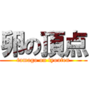 卵の頂点 (tamago on tyouten)