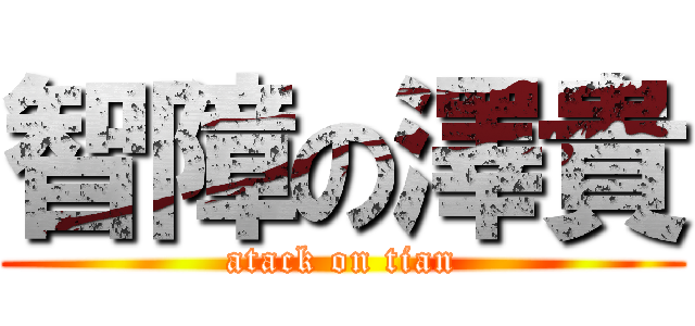 智障の澤貴 (atack on tian)