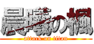 晨曦の楓 (attack on titan)