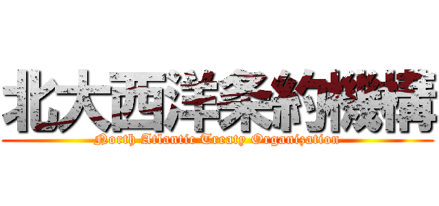 北大西洋条約機構 ( North Atlantic Treaty Organization )