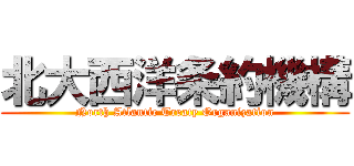 北大西洋条約機構 ( North Atlantic Treaty Organization )