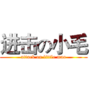 进击の小毛 (attack on little mao)