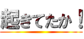 起きてたか！ ()