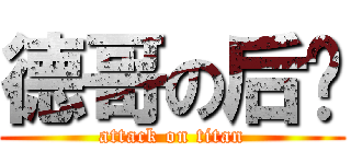 德哥の后宫 (attack on titan)