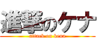 進撃のケナ (attack on kena)