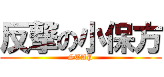 反撃の小保方 (STAP)