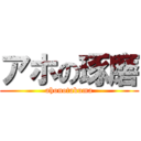 アホの琢磨 (ahonotakuma)