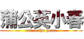 蒲公英小春 (cat in the home)