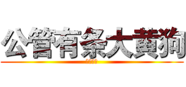 公管有条大黄狗 (别打我啊)