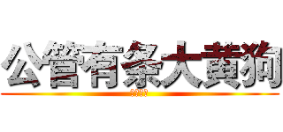 公管有条大黄狗 (别打我啊)