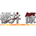 櫻井 僚 (Ryo Sakurai)