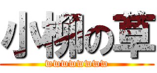 小柳の草 (wwwwwwww)