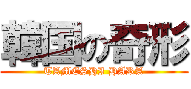 韓国の奇形 (TAMESHI HARA)