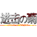 进击の菊 (attack on BING)