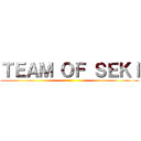 ＴＥＡＭ ＯＦ ＳＥＫＩ ()
