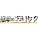 進撃のブルドッグ (attack on Bull)