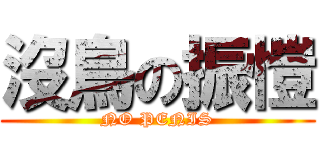 沒鳥の振愷 (NO PENIS)