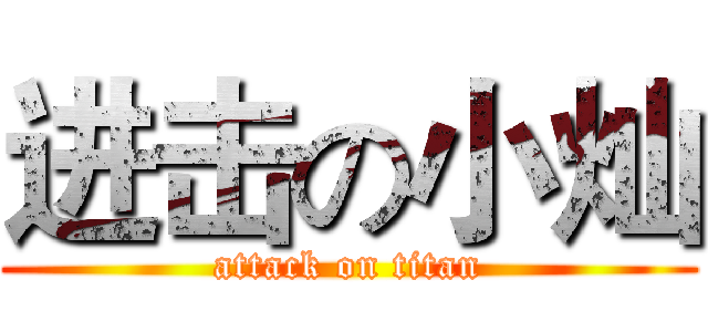 进击の小灿 (attack on titan)