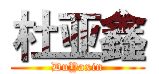 杜亚鑫 (DuYaxin)