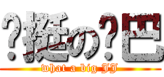 啊挺の鸡巴 (what a big JJ)