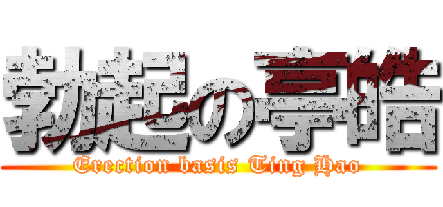 勃起の亭皓 (Erection basis Ting Hao)